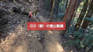 【大垂水峠から学習の歩道経由で高尾山へ】😋 #GGIの登山動画 #長尺