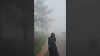 #ponmudi #snow #viralvideo