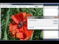 VB.NET Tutorial For Beginners - Simple Picture / Image Viewer (Visual Basic .NET)