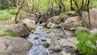 【庭園】白鳥庭園 雌滝〜雄滝