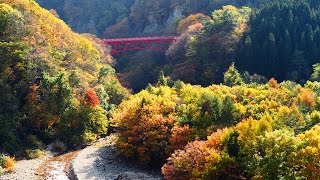 紅葉の松川渓谷 [長野県上高井郡高山村]