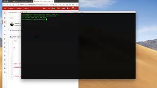 13.5 Generic Package Registry Pull and Upload