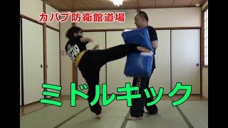 ミドルキックトレーニング・ミット