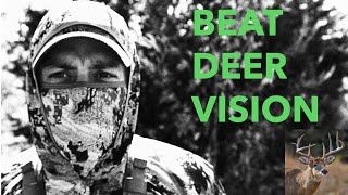 Deer Vision Secrets That Will Change How You Bowhunt