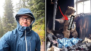 Tourist Vanished in Oregon Woods — 11 Years Later His Body Was Found Inside a TAXIDERMY BEAR...