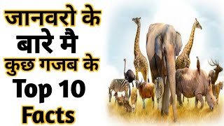 Top 10 Facts About Animals | Amazing facts | Random Facts | #Shorts#Short #YoutubeShorts #Anandfacts