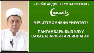 Мечитте эмнени үйрөтөт?  Пайгамбарыбыз Улуу Сахабаларды тарбиялаган! Шейх Абдишүкүр Нарматов.