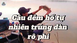 Tập 57 | Câu đài câu đêm hồ tự nhiên trúng đàn rô phi @thieufishing