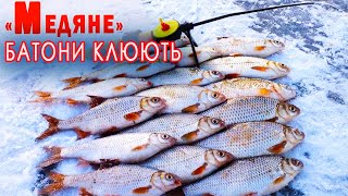 НАТРАПИЛИ НА БАТОНІСТУ ПЛОТВУ. ЗИМОВА РИБОЛОВЛЯ на мормишку гарної ПЛІТКИ!