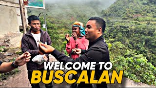 WELCOME TO BUSCALAN