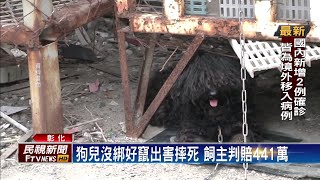 狗兒沒綁好竄出害摔死 飼主判賠441萬－民視新聞