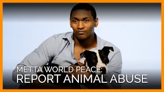 Metta World Peace: Report Animal Abuse!