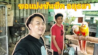 รับน้อง ซันชีค กลับบ้าน