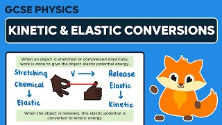 Elastic Potential Energy \u0026 Kinetic Energy Worked Example - GCSE Physics