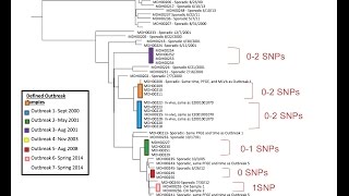 Routine use of WGS as a stand-alone tool for surveillance: case studies