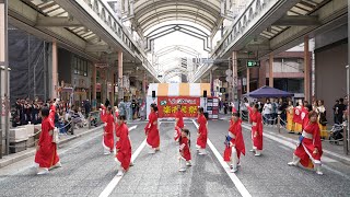 縁結び 📍YOSAKOIぶち楽市民祭 (銀座中央会場) 2024-11-10T10:38