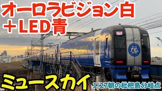 オーロラビジョン白色＋LED青色2000系重連のミュースカイ2025.01.27朝の名鉄 枇杷島分岐点  #4k #鉄道 #chaos #train #railway #電車 #名鉄