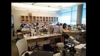 The Lichen People - Tuckerman Workshop 2014