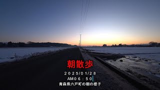 水物は大変なんですよ。「朝散歩」【えびてつチャンネル】