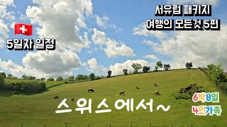 6박8일 서유럽 패키지 여행의 모든것 5편. 🇨🇭 스위스일정(#인터라켄 #융푸라우 #아이거익스프레스 #퐁듀 #산악열차)