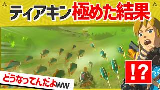 【爆笑】ハイラルバスにしばかれるボコブリンが可哀想過ぎるｗ【総集編】【ティアキン】【面白クリップ集】