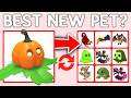 I Traded PUMPKIN FRIEND Pet EARLY! Halloween Adopt Me