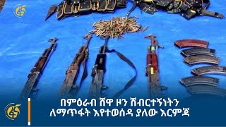 በምዕራብ ሸዋ ዞን ሽብርተኝነትን ለማጥፋት እየተወሰዳ ያለው እርምጃ