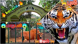 🔥🐂பாகுபலி மாடு 🦁THIRUCHOOR ZOO 🦁🔥 😱😱😱 🐆புலி இவ்ளோ பக்கமா 😱🐆