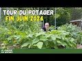 Tour Complet de Mon Potager en Juin