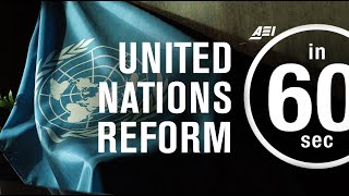 Does the United Nations need reform? | IN 60 SECONDS