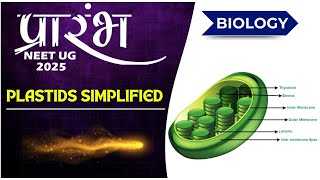 Plastids Simplified | Biology | KRK Sir | NEET UG 2025 #acadxl #kotacoaching