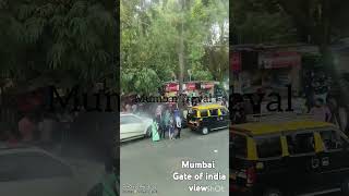 mumbai gate of india view