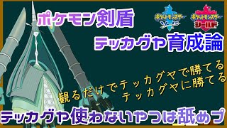 テッカグヤ使わないやつは舐めプ！？【剣盾新環境での対策や育成論・ウルトラホールから最強ポケモン降臨】