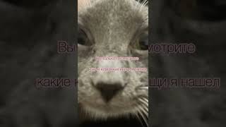 Подборка женских вещей #вещи #классноевидео #подборка #реки