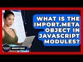 What Is The Import.meta Object In JavaScript Modules? - JavaScript Toolkit