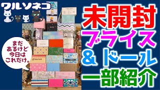 642 私たちが所持している箱入りブライス＆ドールの一部を紹介します。