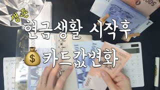 빚갚기현금생활💰생활비한달20만원.하루하루버티기..