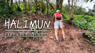 PUNCAK HALIMUN ATAP SUKAMAKMUR | BONUS BECEK | U50+ |