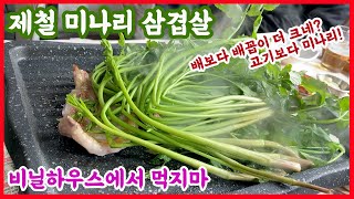 제철 한재 미나리가 질겨지기전에 서둘러청도로 미나리 삼겹살 먹으러 가셔야 합니다.