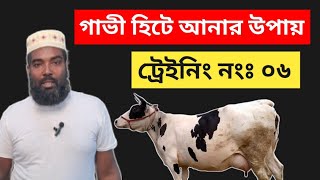 বকনা ও গাভী হিটে না আসার কারণ ও দ্রুত হিটে আনার ওষুধ || গাভীকে হিটে আনার উপায় (Training:06)