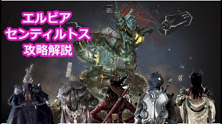 [黒い砂漠] エルビア シガラキア センティルトス攻略解説