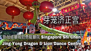 新加坡獅城勁勇龍獅院 Shi Chen Jing Yong Lion \u0026 Snake Dance Eye dotting performance at 芽笼济正宫 1 January  2025