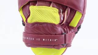 Everlast Elite Punch Mitts