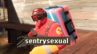 TF2 is a Social Experiment