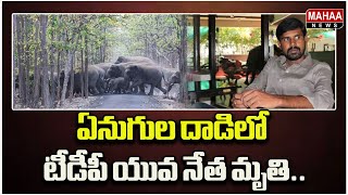 ఏనుగుల దాడిలో టీడీపీ యువ నేత మృతి..  | Mahaa News