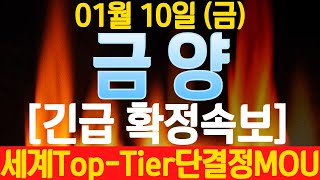 [금양]장마감긴급속보! 세계Top-tier 모빌리티사 단결정 특수양극재 최대수혜! 필수시청. #금양 #에코프로 #LG엔솔 #SK온 #엘앤에프 #에코프로비엠 #포스코퓨처엠