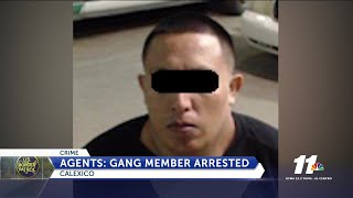 Gang Member Arrested