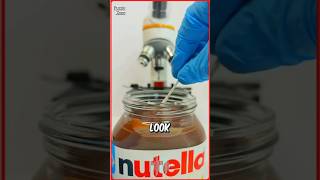 How nutella looks under the microscope😰😱