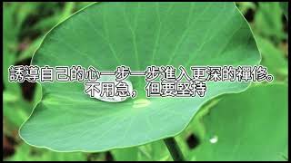 [字幕]誘導自己的心一步一步進入更深的禪修。不用急，但要堅持｜阿贊耀開示 2023-08-26