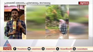 തൃത്താലയിൽ റോഡിലേക്ക് മരം വീണു; റോഡ് ​ഗതാ​ഗതം തടസപ്പെട്ടു | Thrithala | Heavy rain